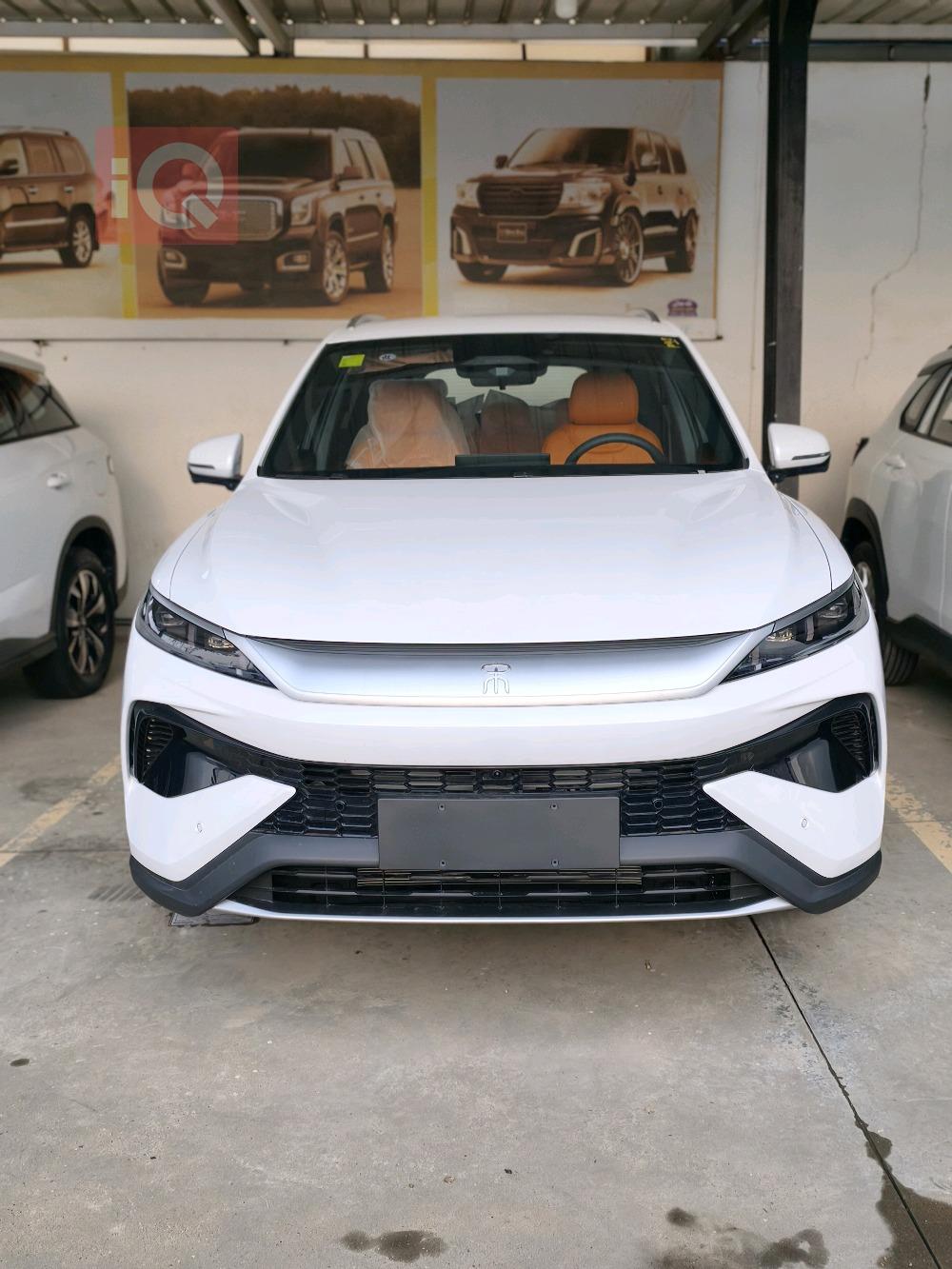 بي واي دي ‎سونغ برو DM-i